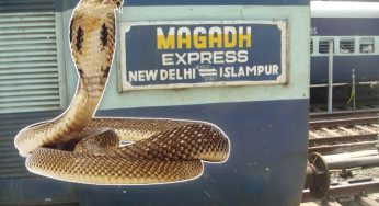 भारतीय रेल  के इतिहास में पहली बार ट्रैन में दिखा सांप