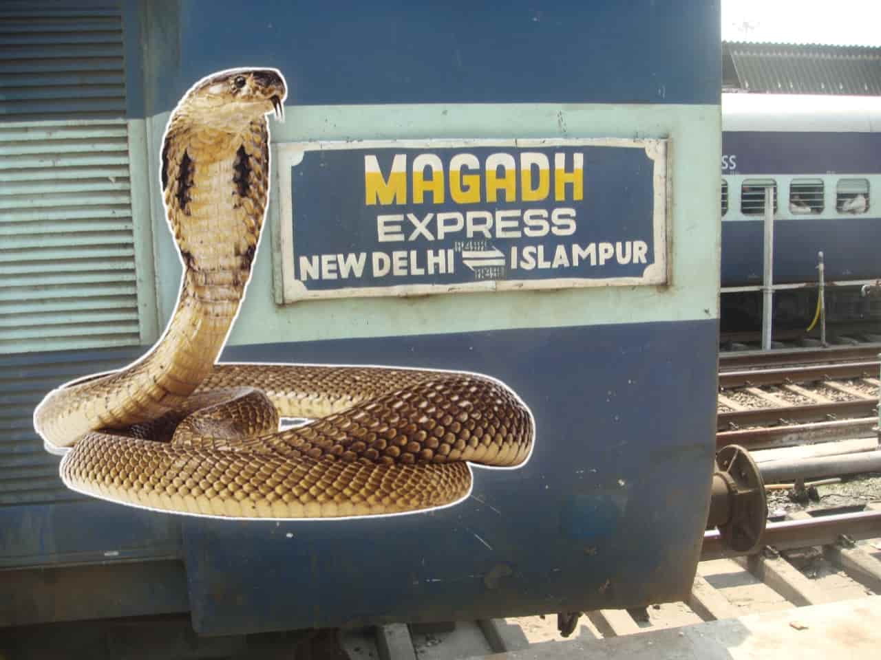 Snake seen in train for the first time in the history of Indian Railways